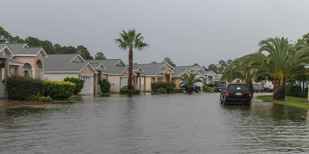 DHS Veterans Raise Money For Florida Hurricane Victims