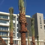 Palm Springs Celebrates Revitalization Project