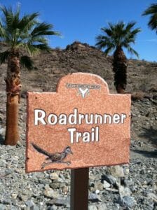 Roadrunner Trail/Chuckwalla Loop Great Day Hike