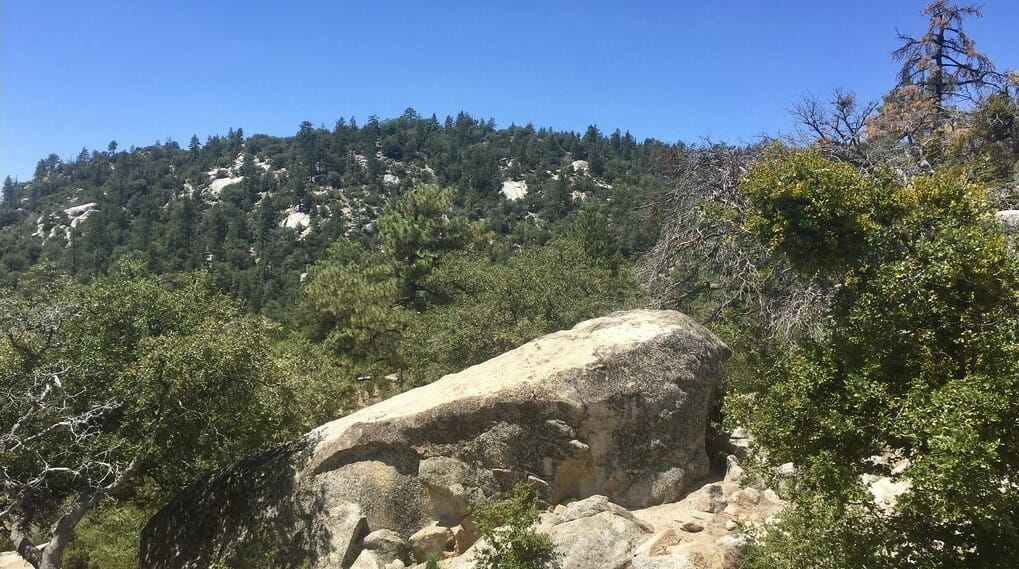 Idyllwild Offers Hikers Escape from Scorching Heat
