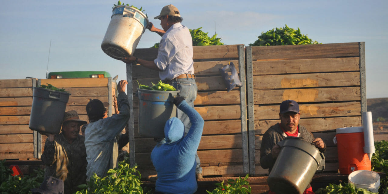 Lawmakers Seek Money for Farmworker Protections