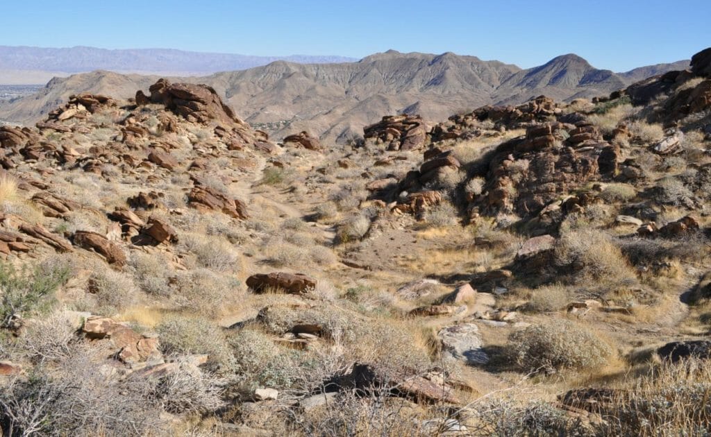 Tips for ensuring a safe, fun desert hike