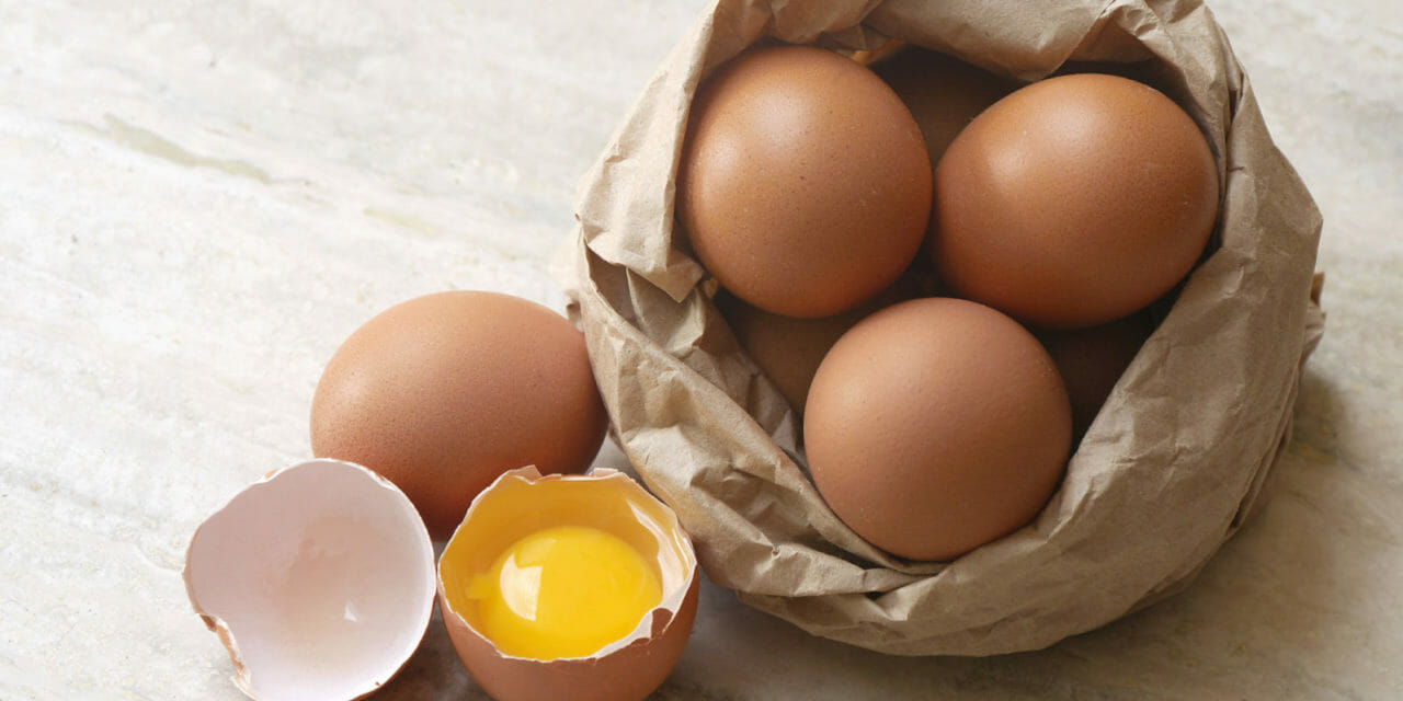 Meat, not eggs, is linked to type 2 diabetes