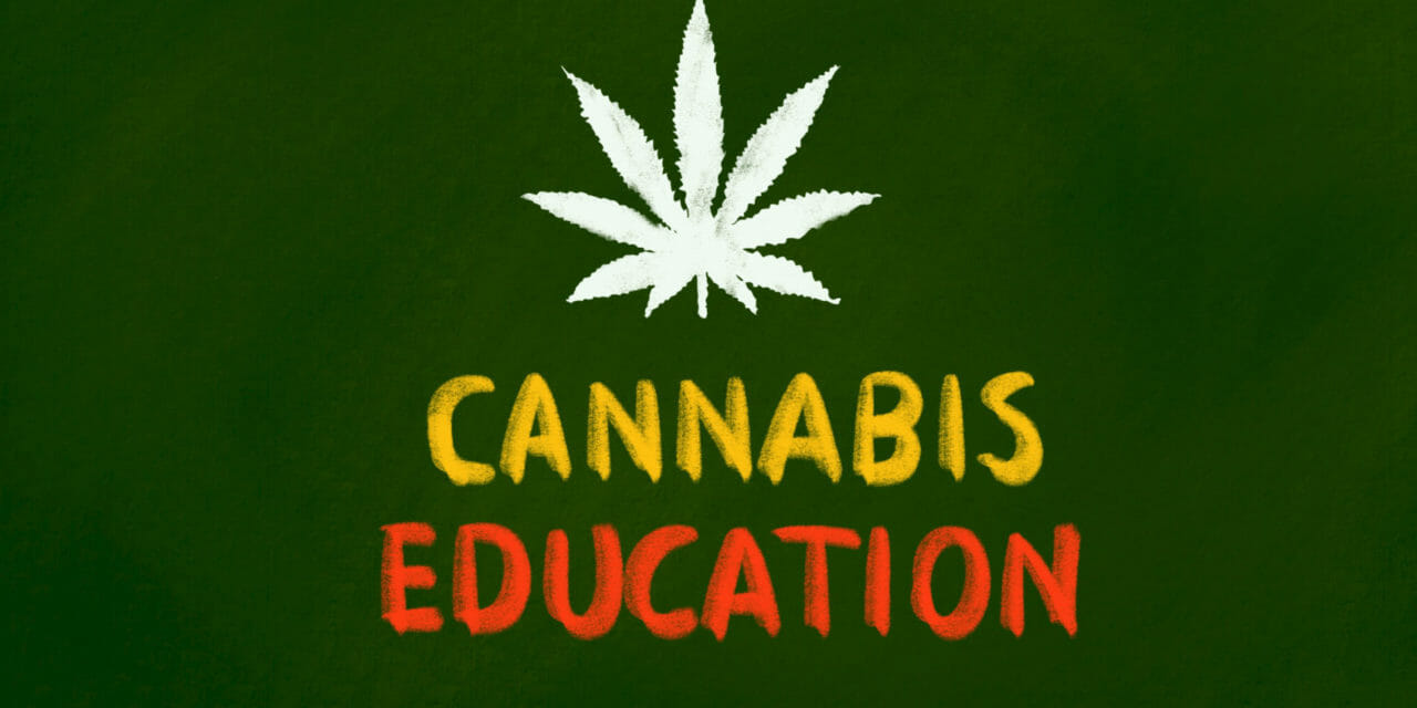 Training Available for Cannabis Industry Work