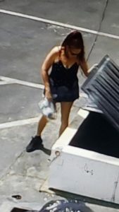 Coachella Woman, 54, Arrested in Puppy Dump