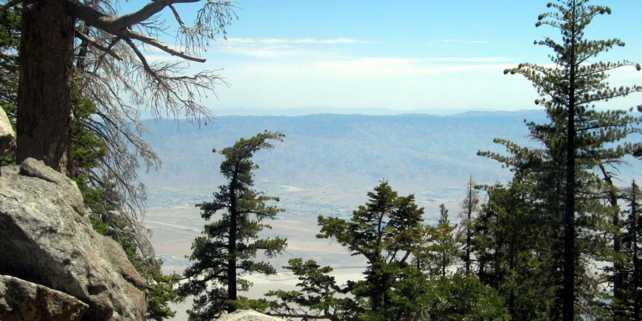 Desert View Trail Offers Scenic Valley Overlooks
