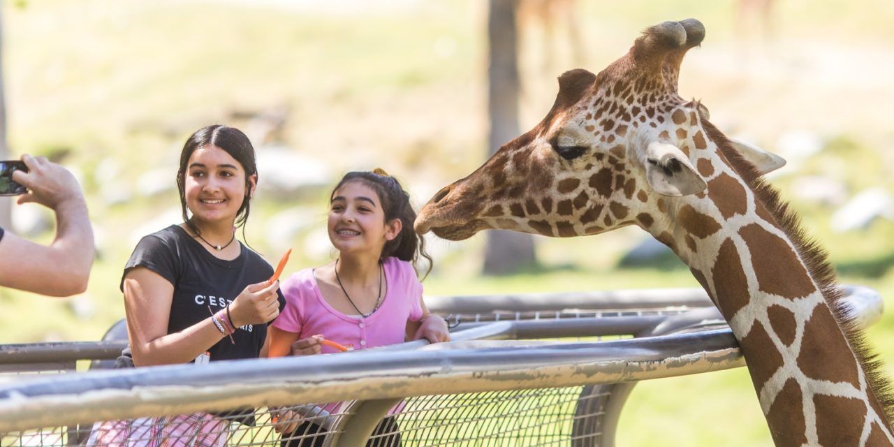 Beat the Heat at Living Desert Zoo and Gardens