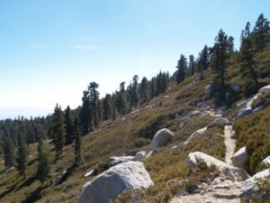 Palm Springs Trail: Greatest Elevation Gain in U.S.