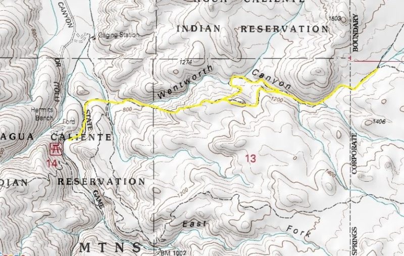 Fern Canyon Trail Features Maidenhair Ferns