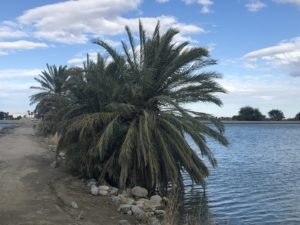 Free Admission, Fishing at Lake Cahuilla for Vets