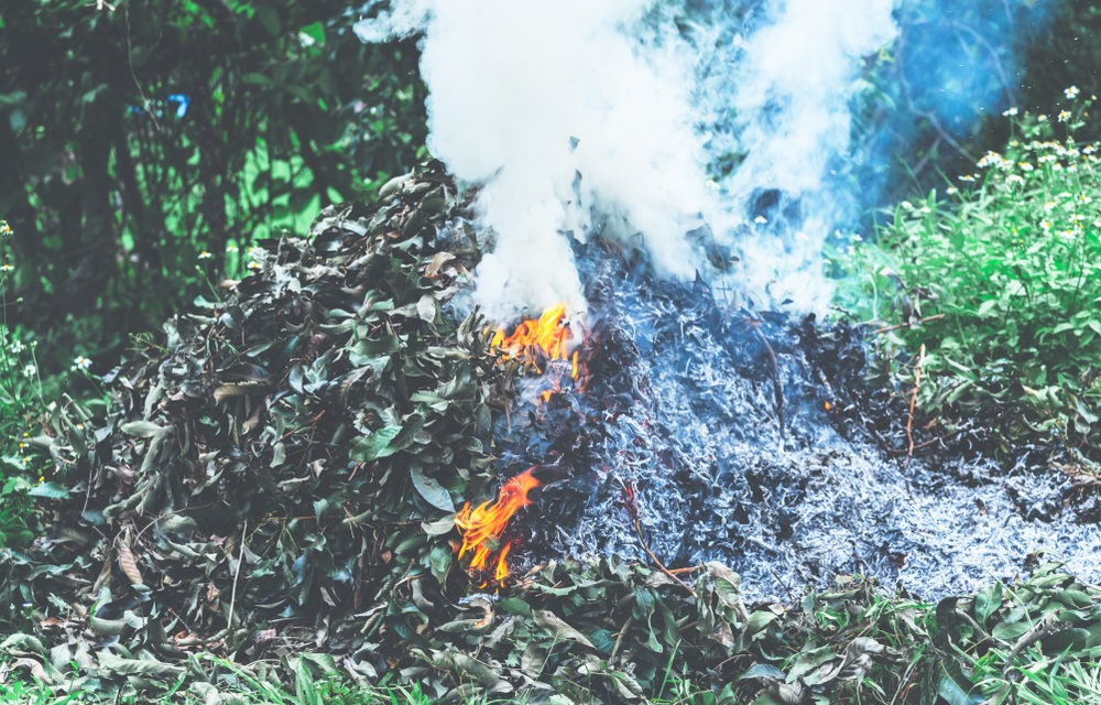 Green Waste Piles Targeted to Reduce Fire Hazards