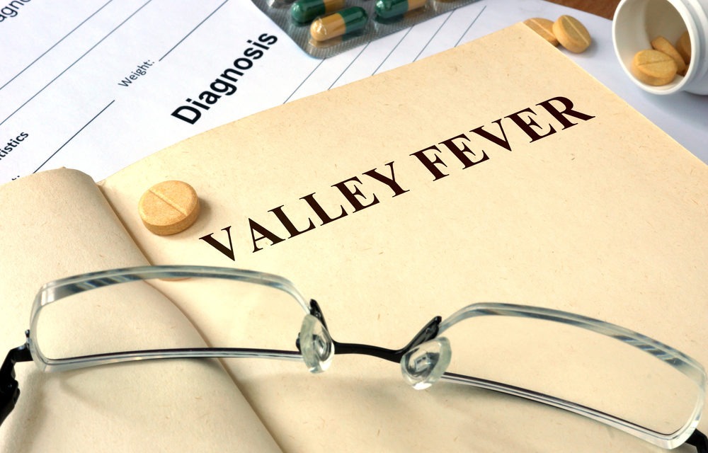 Valley Fever Cases Reach Record High in State