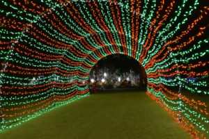 WildLights Spectacular Returns to the Zoo