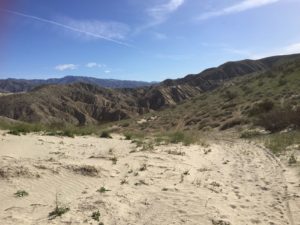 New Trail Heads Through Indio Hills Badlands