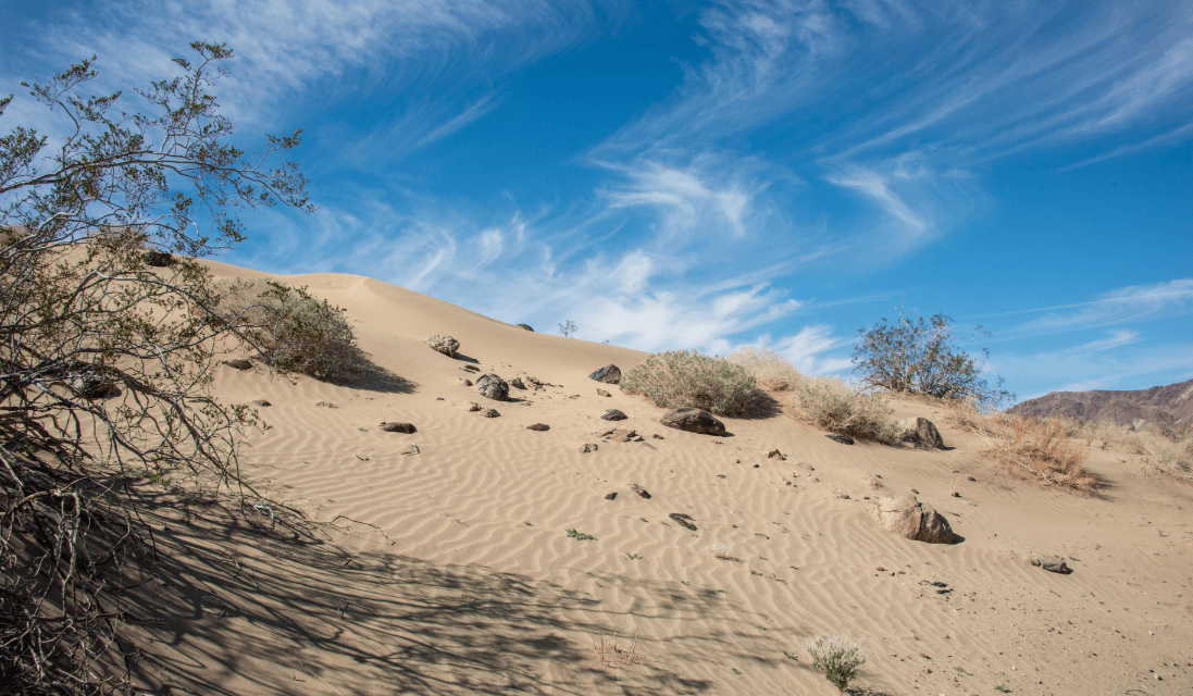 Day-hiking Pinto Basin Sand Dunes Trail