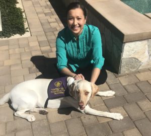 Therapy Dog Supports Wellness at DSUSD