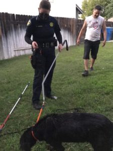 Fireworks Frighten Dog, Rescued with What?