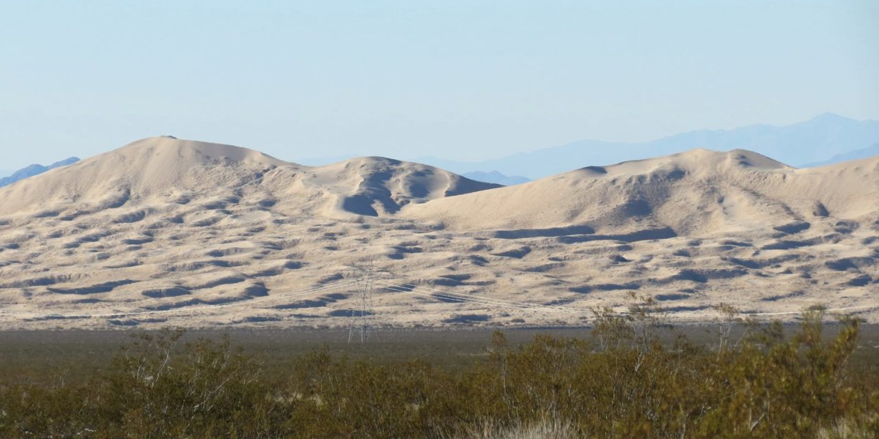 Hike to sand dunes in Joshua Tree National Park