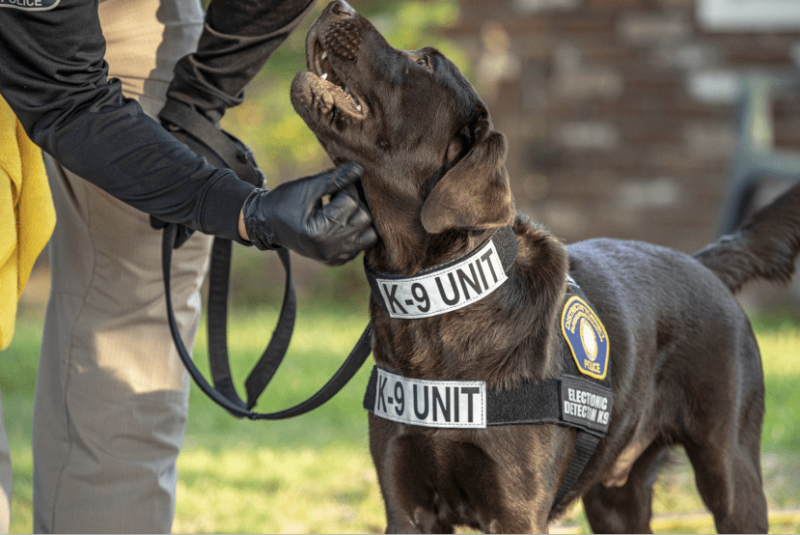 Electronic Scent Detection Dog Joins Office of DA