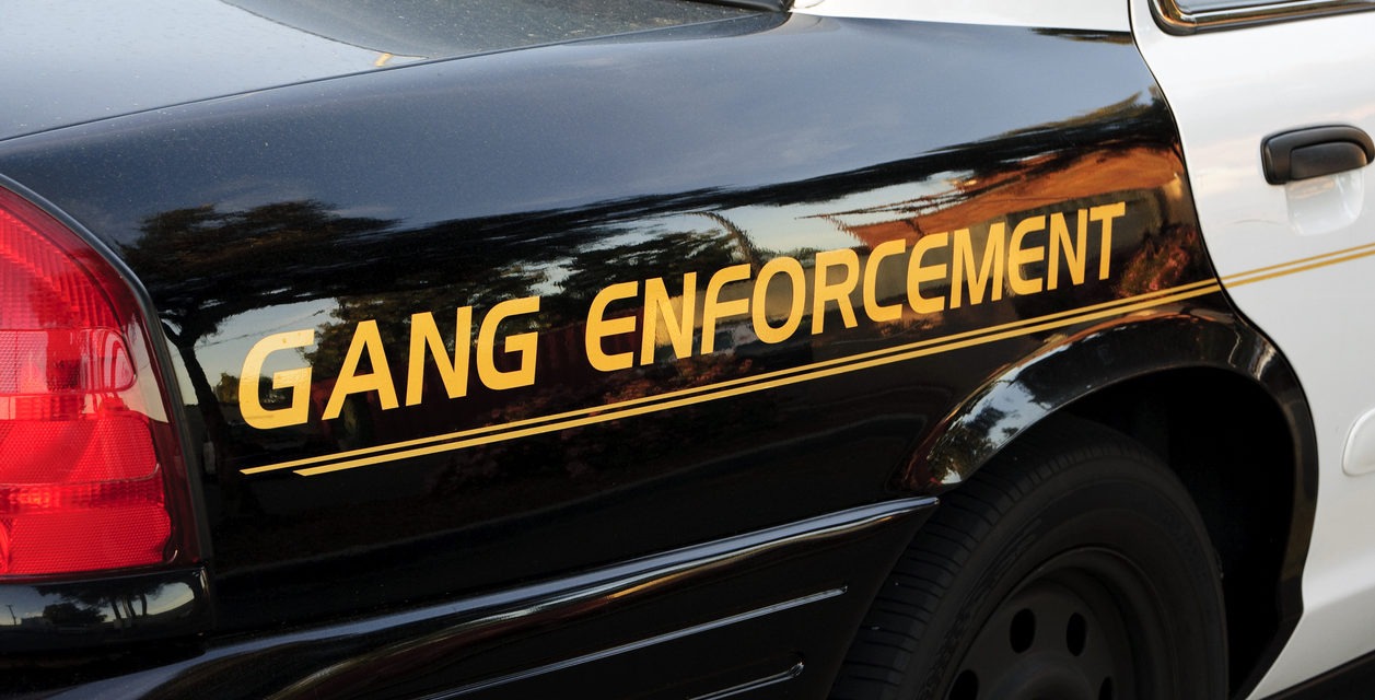 Gang Members Arrested During Search Warrant