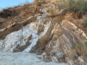 Oasis, plants await on Dead Indian Canyon Trail