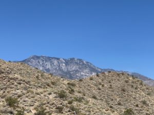 Palm Canyon trail heads to prominent Murray Hill