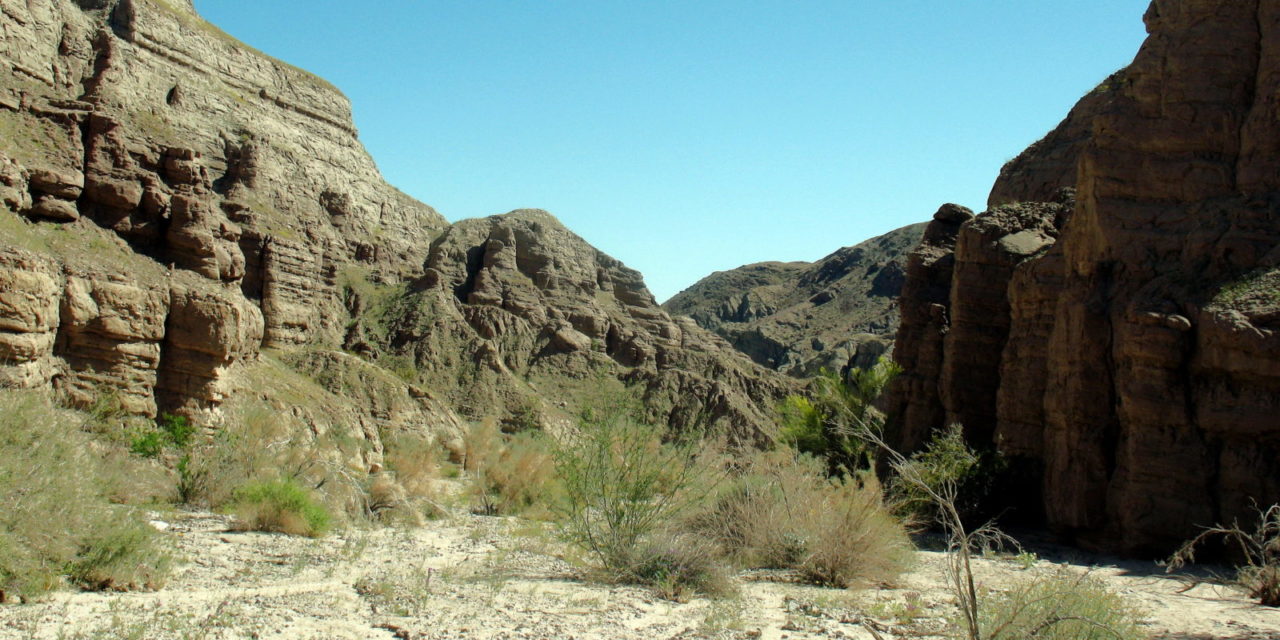 Desert iguana await in Mecca Hills slot canyon