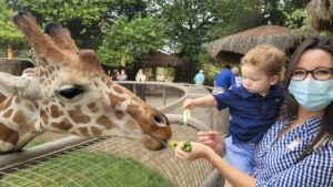Select Amenities, Attractions Open at Zoo