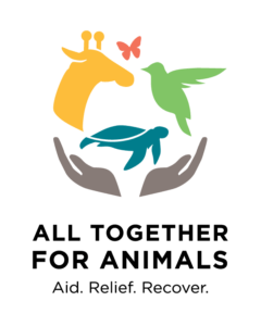 All Together for Animals Virtual Concert Set