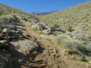 Trekking the Indian Canyons West Fork Trail