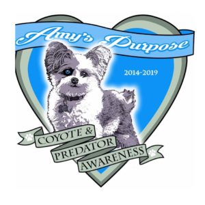 Amy's Purpose, New Nonprofit to Launch