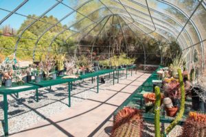 New Desert Plant Conservation Center Opens