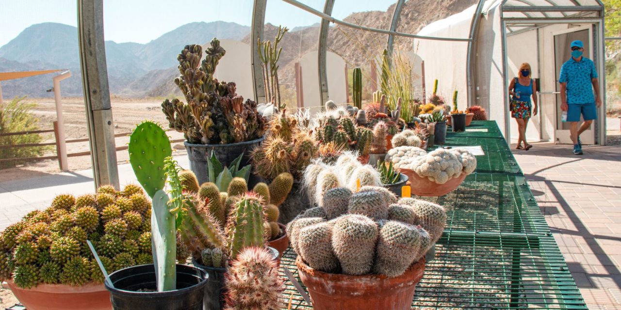 New Desert Plant Conservation Center Opens