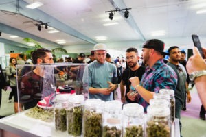 Cannabis Industry Tradeshow Seeks Special Permit