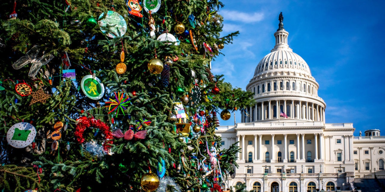 Help Decorate U.S. Capitol Christmas Tree
