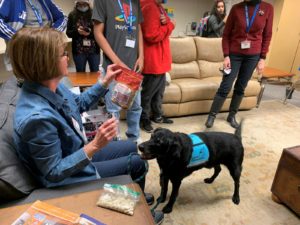 Therapy Dogs Capture Attention of Readers