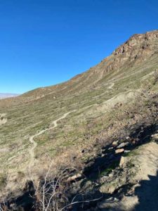 Earl Henderson Trail Delivers Green Spring Desert