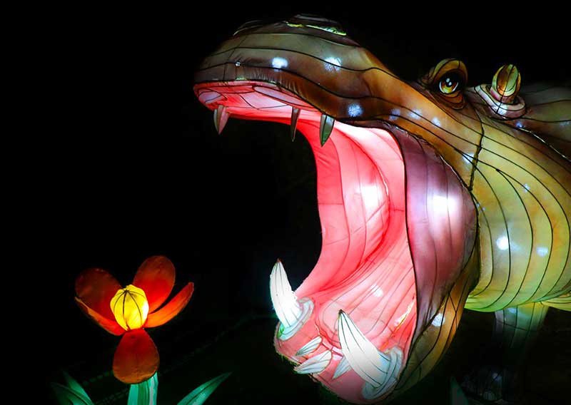 ‘Glow In the Park’ Experience at Living Desert Zoo