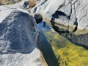 Trail Runs Through Oasis to Cool Stone Pools