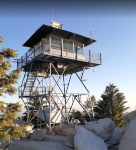 Young Sequoias, Fire Tower Await on Black Mountain