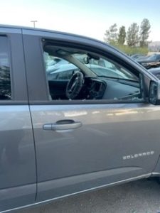 Car Window Smashed to Save Hot Pomeranian