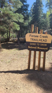 Trail Heads to Summit of Cool Anderson Peak