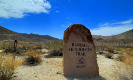 Randall Henderson Trail Passes Foothill Flora