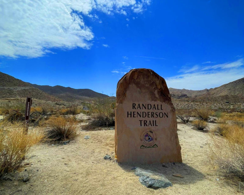 Randall Henderson Trail Passes Foothill Flora