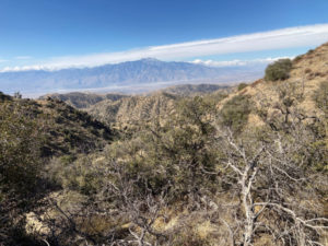 Hike Heads to Fifth Highest Peak in Joshua Tree