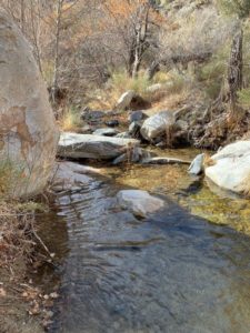 Cactus Spring Trail (to Horsethief Creek)