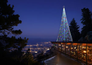 Cub Swanson to Light Aerial Tramway Holiday Tree