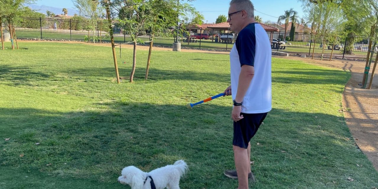Second Dog Park Planned in Cathedral City