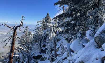 Annual Snow-Guessing Contest Begins Oct.1