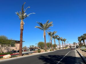 Completion of Indio Roadwork Cause for Celebration